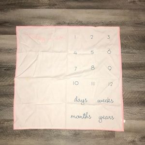 Baby’s milestone blanket